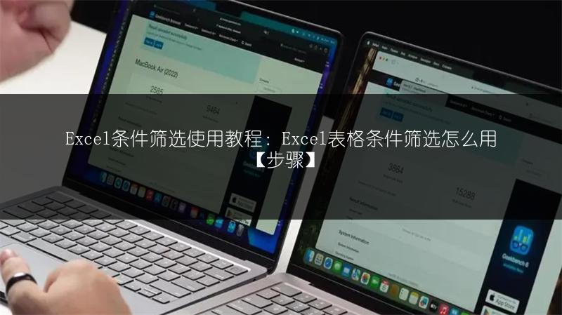 Excel条件筛选使用教程:Excel表格条件筛选怎么用【步骤】