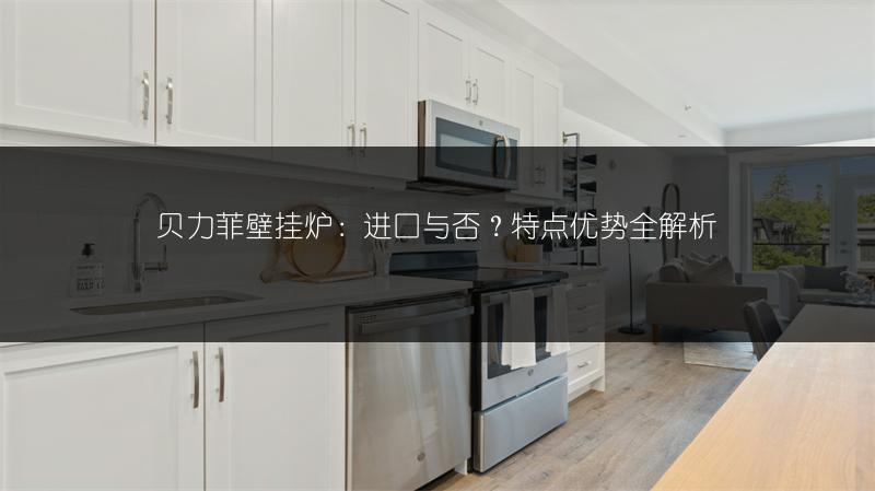 贝力菲壁挂炉:进口与否?特点优势全解析
