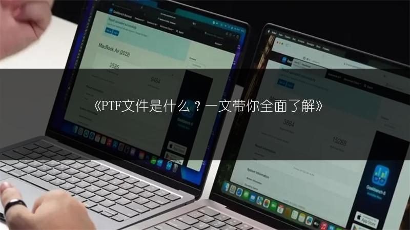 《PTF文件是什么？一文带你全面了解》
