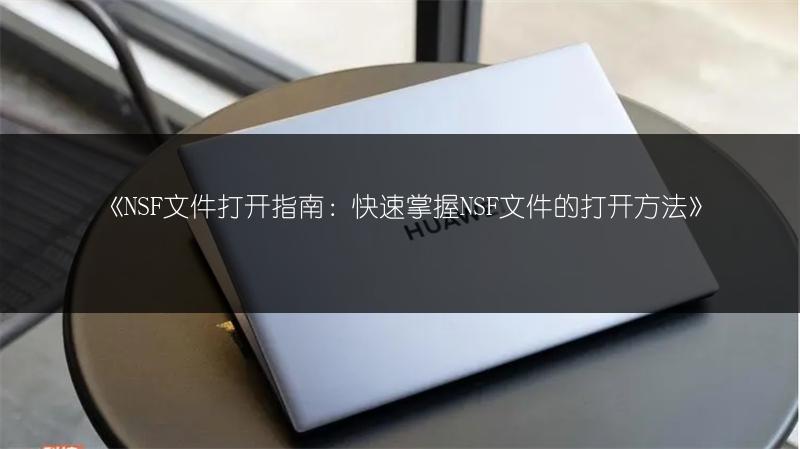 《NSF文件打开指南:快速掌握NSF文件的打开方法》
