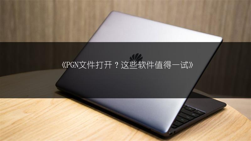 《PGN文件打开?这些软件值得一试》