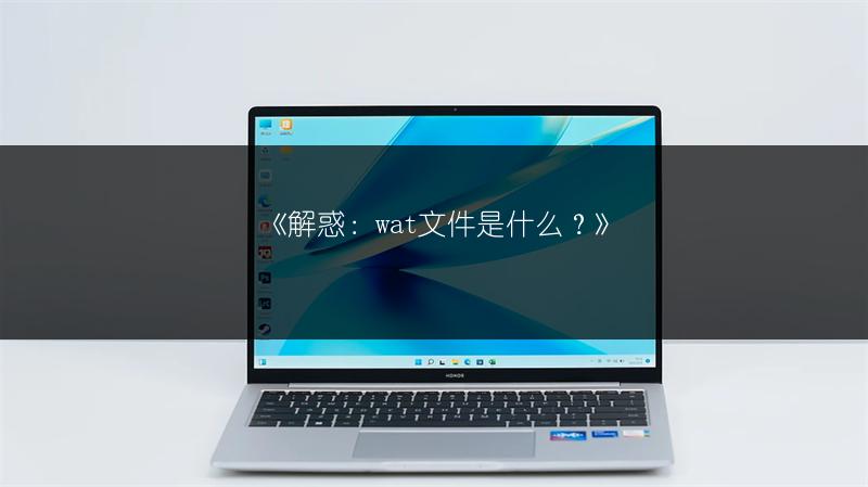 《dav格式视频？这些播放器可播放》