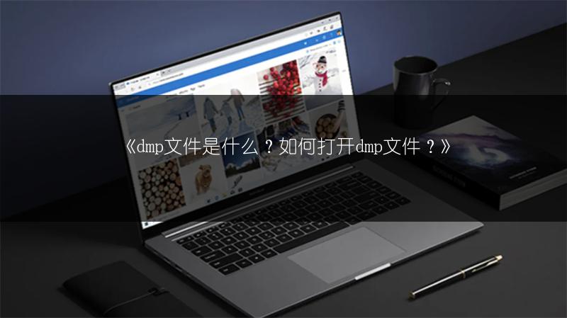 《dmp文件是什么？如何打开dmp文件？》