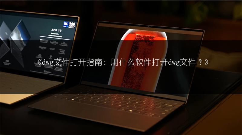 《dwg文件打开指南:用什么软件打开dwg文件?》