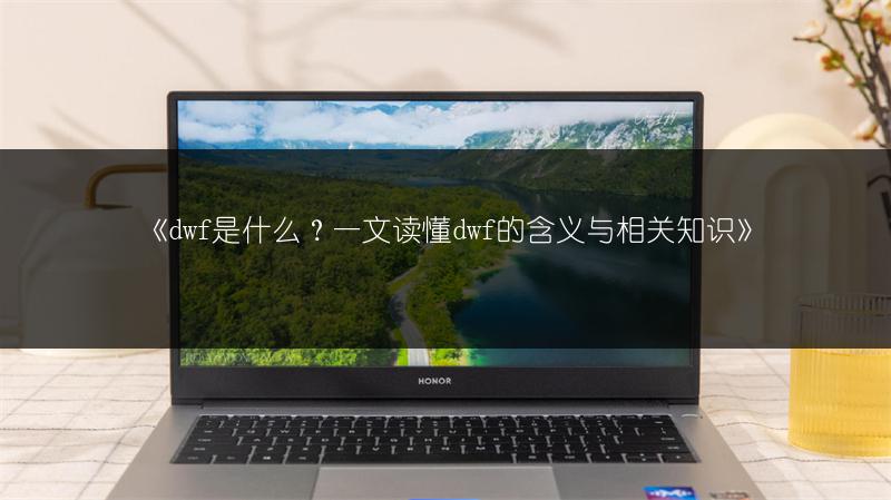 《dwf是什么?一文读懂dwf的含义与相关知识》