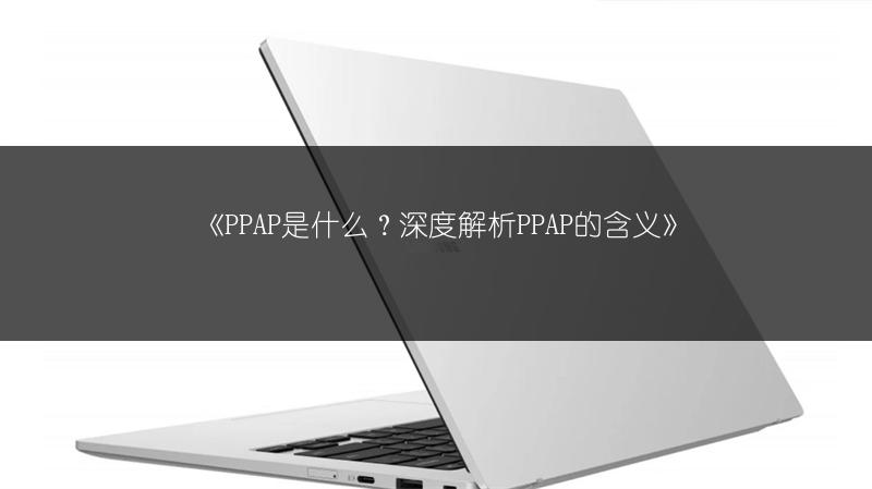 《PPAP是什么？深度解析PPAP的含义》