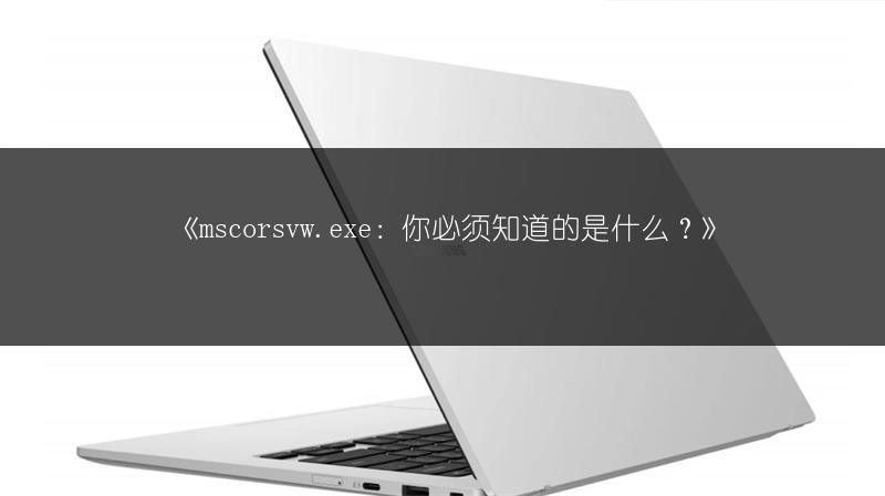 《mscorsvw.exe：你必须知道的是什么？》