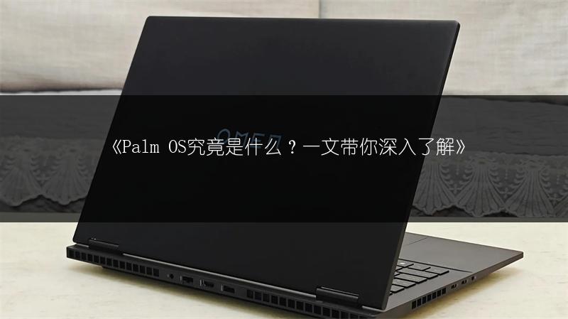 《Palm OS究竟是什么?一文带你深入了解》