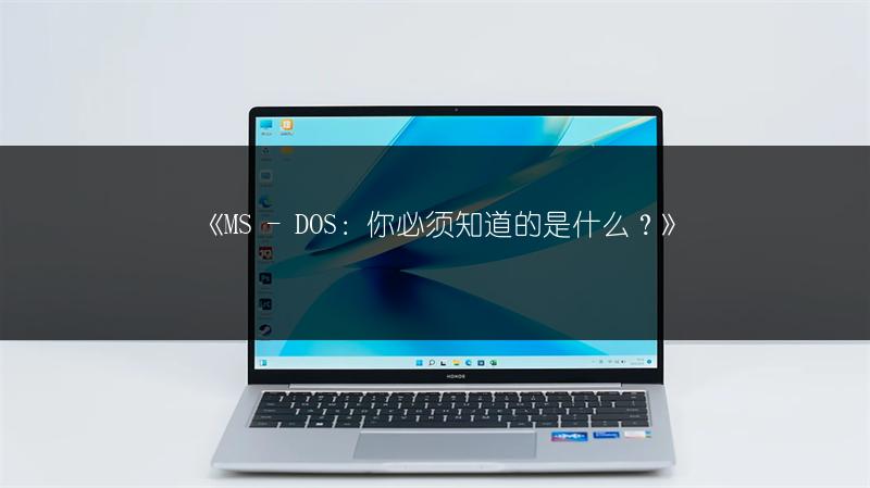 《MS - DOS:你必须知道的是什么?》