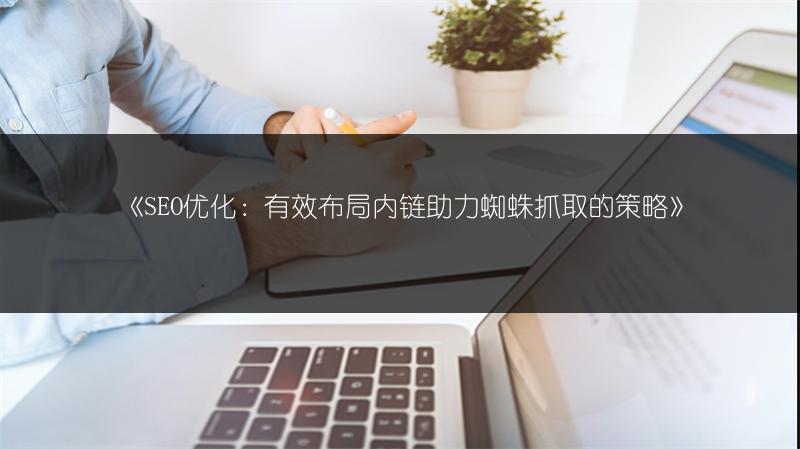 《SEO优化：有效布局内链助力蜘蛛抓取的策略》